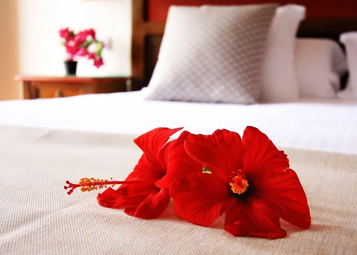 Rural De La Florida Otel San Bartolomé