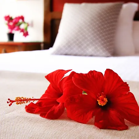 Otel Rural De La Florida San Bartolomé